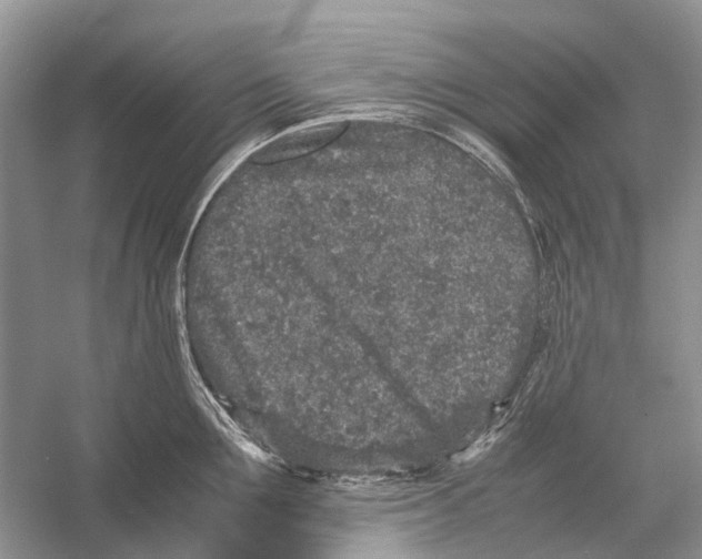 X0000054370907200508262338