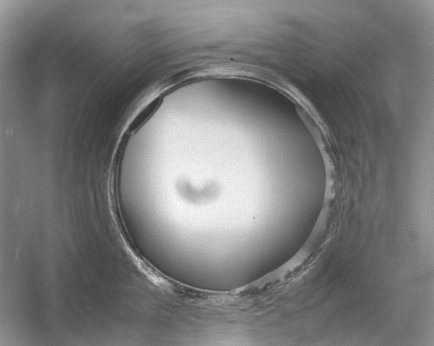 X0000054370909200508262338