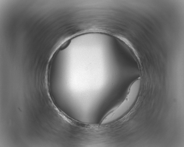 X0000054370910200508262338