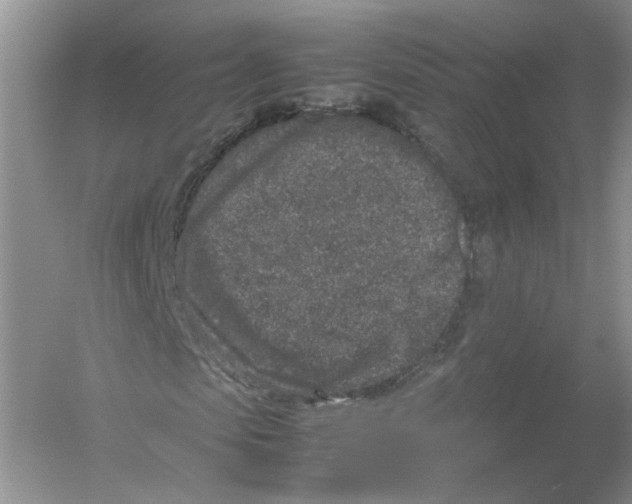 X0000054370913200508262337