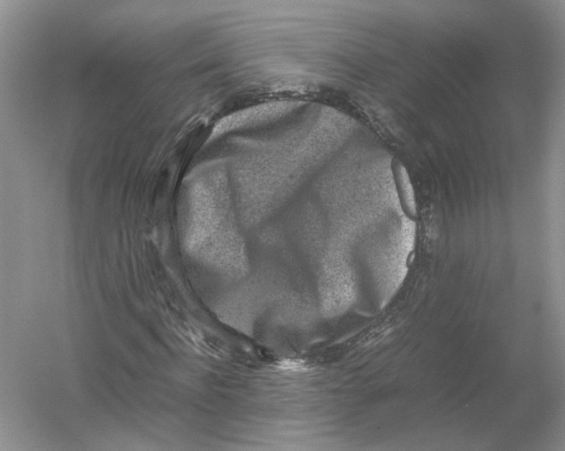 X0000054370916200508262337