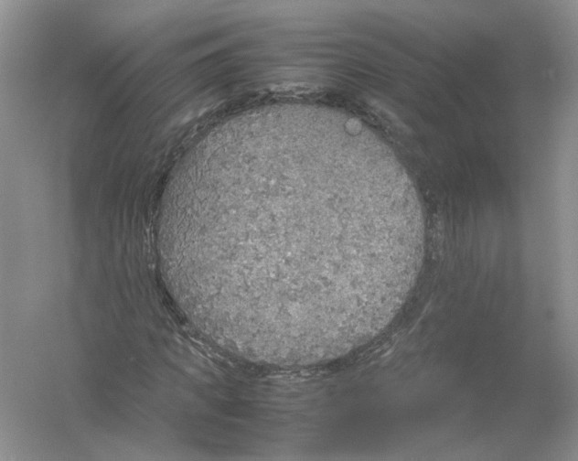 X0000054370917200508262337