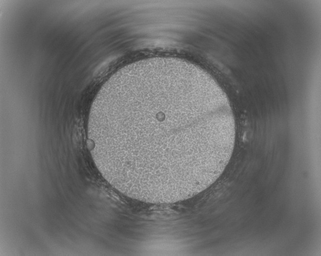 X0000054370918200508262337