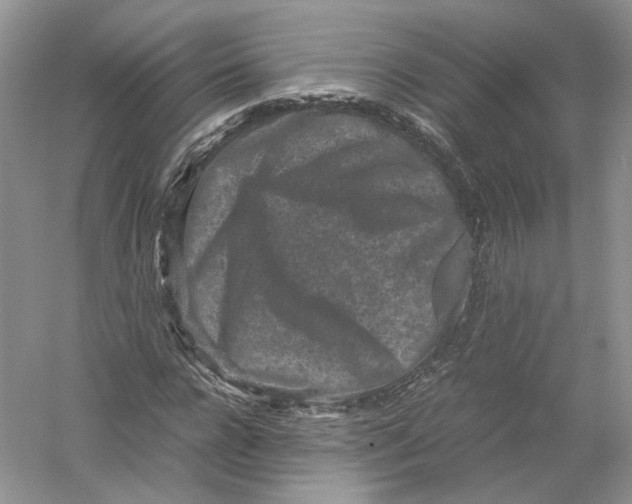 X0000054370920200508262337