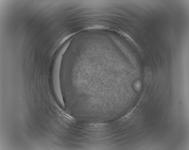 X0000054370921200508262337