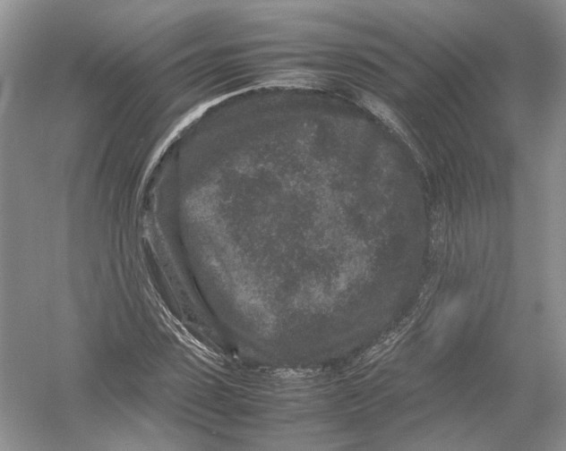 X0000054370923200508262337