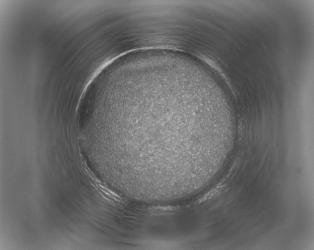 X0000054370925200508262337