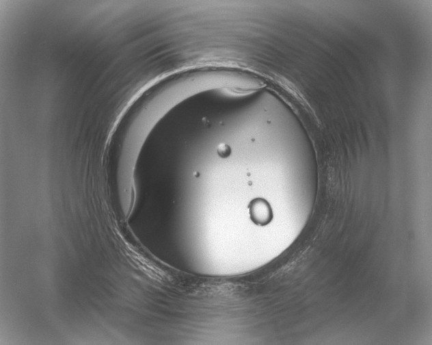 X0000054370926200508262337