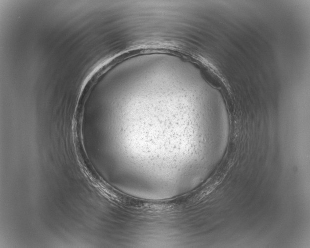 X0000054370928200508262337