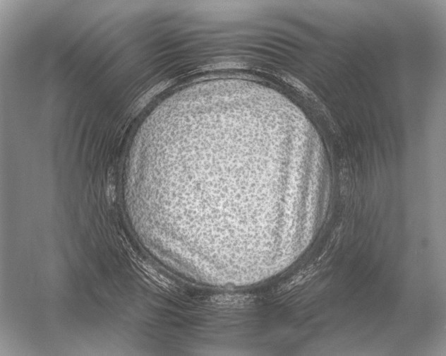 X0000054370929200508262337