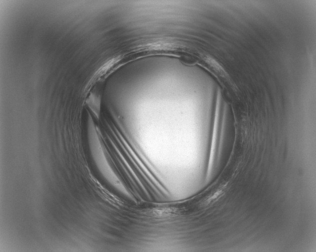 X0000054370930200508262337