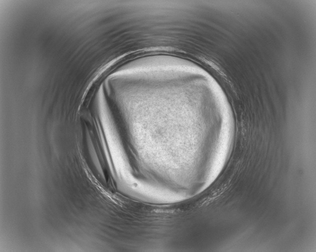 X0000054370933200508262337