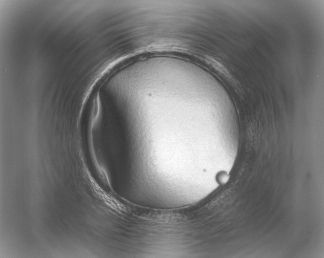 X0000054370934200508262337