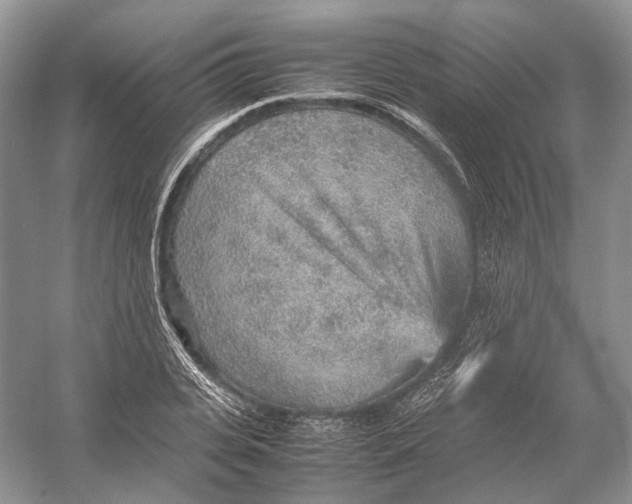 X0000054370935200508262337