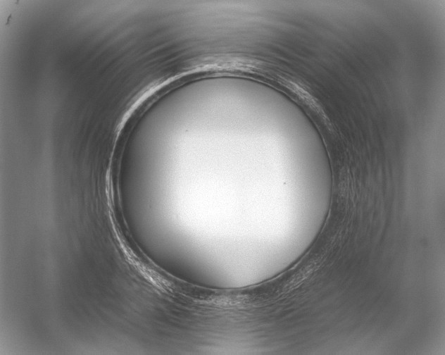 X0000054370936200508262337