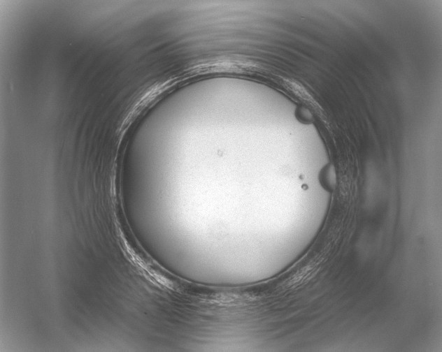 X0000054370938200508262337