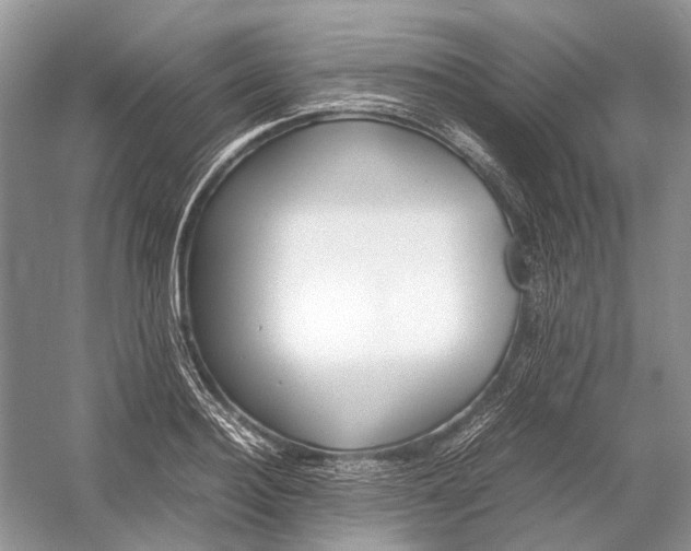 X0000054370940200508262337