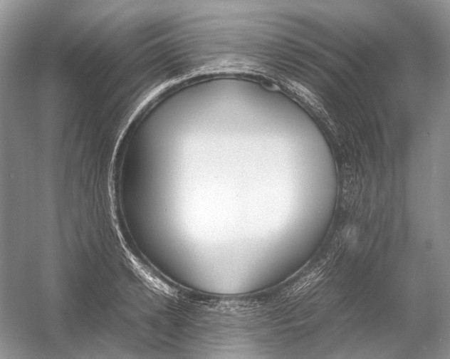 X0000054370942200508262337