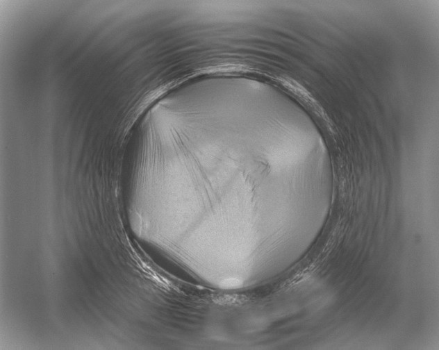 X0000054370945200508262337