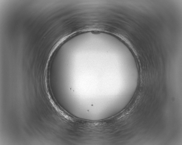 X0000054370949200508262337