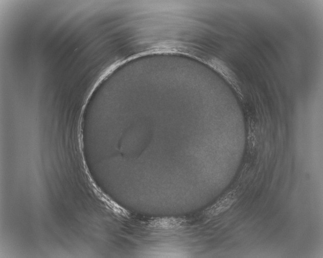 X0000054370950200508262338