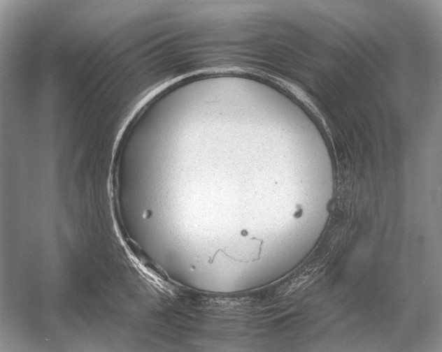 X0000054370951200508262338