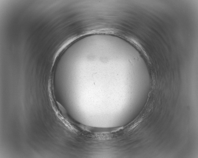 X0000054370952200508262338