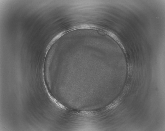 X0000054370954200508262338