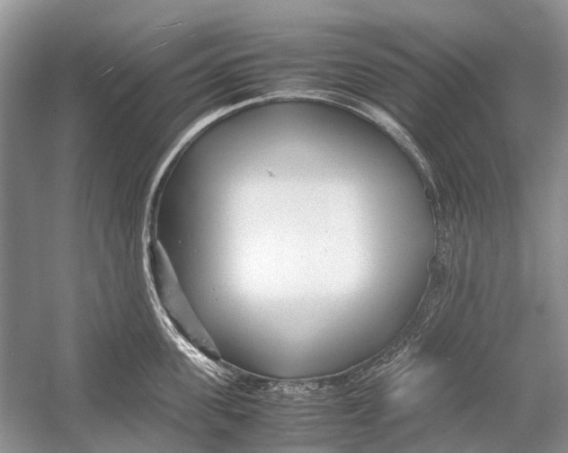 X0000054370955200508262338