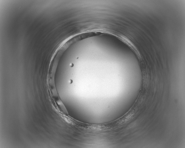 X0000054370956200508262338