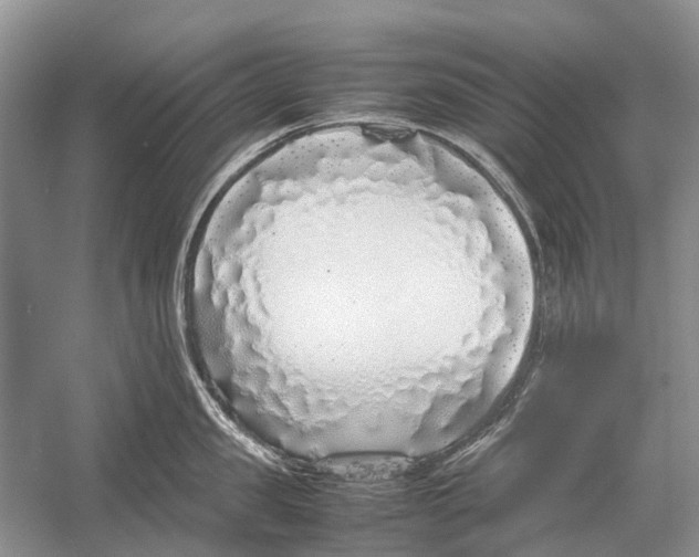 X0000054370957200508262338