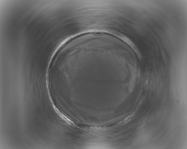 X0000054370958200508262338