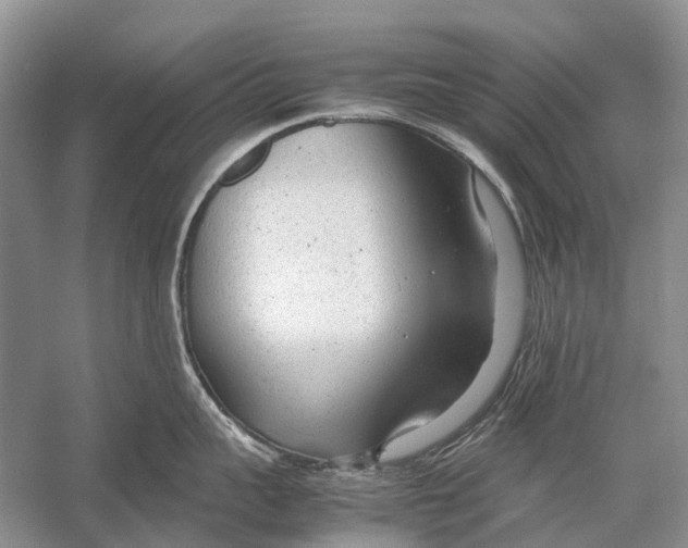 X0000054370959200508262338