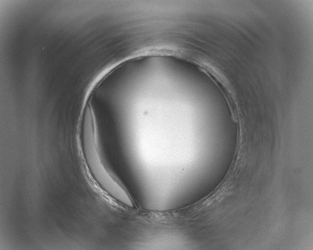 X0000054370960200508262338