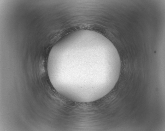 X0000054370962200508262337