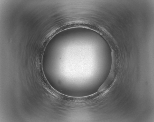 X0000054370969200508262337