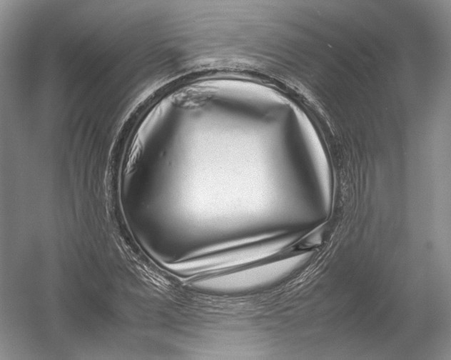 X0000054370975200508262337