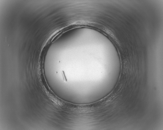 X0000054370976200508262337