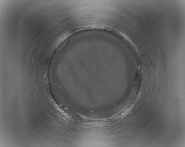 X0000054370977200508262337