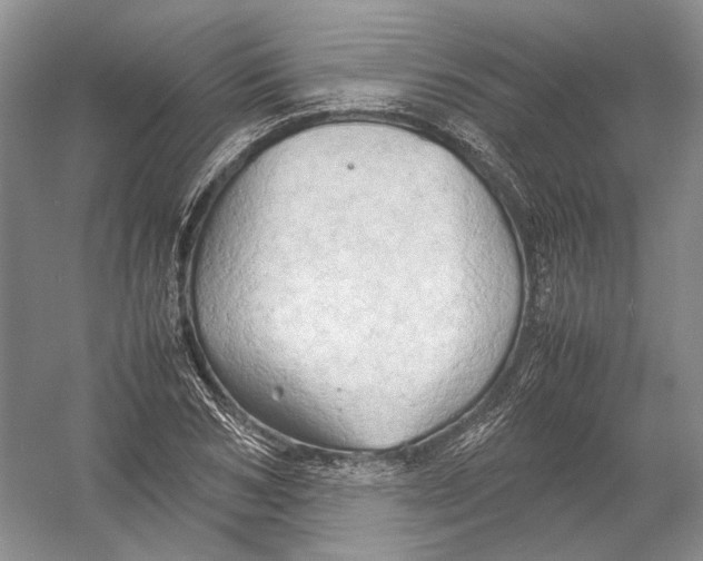 X0000054370978200508262337