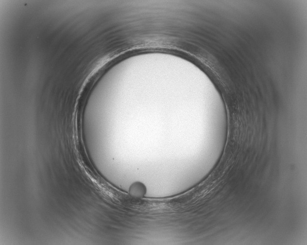 X0000054370982200508262336