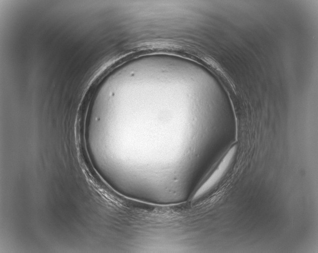 X0000054370983200508262336