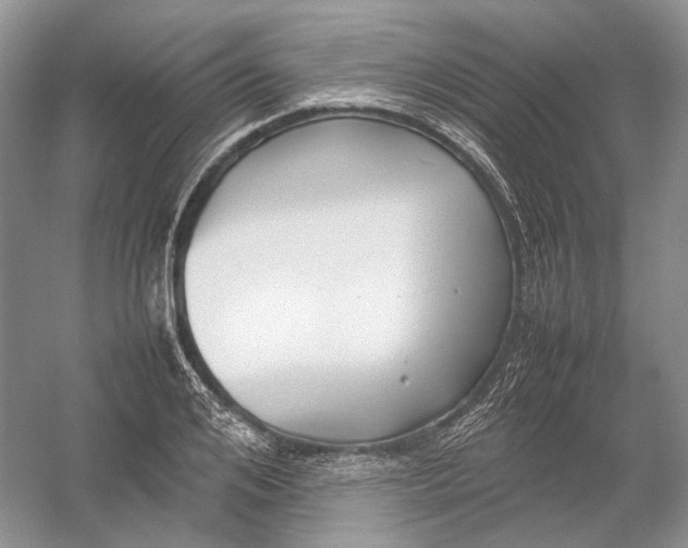 X0000054370984200508262336