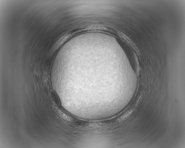 X0000054370985200508262336