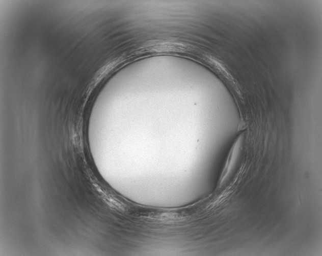 X0000054370986200508262336