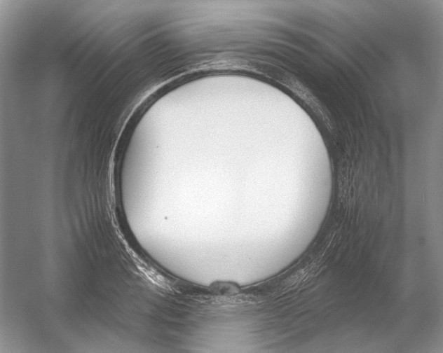 X0000054370988200508262336