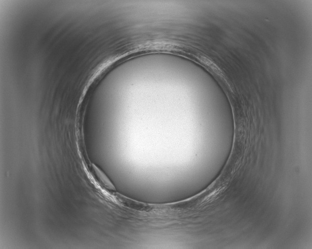 X0000054370989200508262336