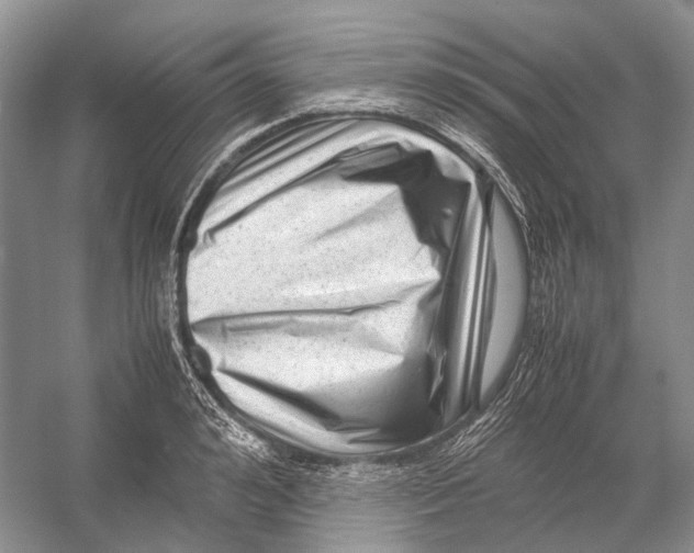 X0000054370992200508262336