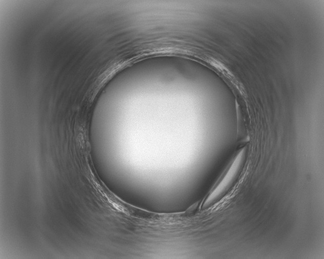 X0000054370993200508262336