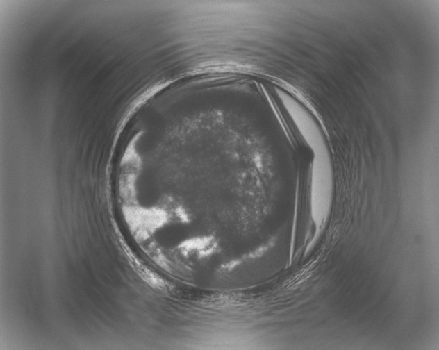 X0000054370995200508262336